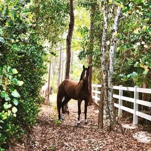 Meet your Posher, Nancy